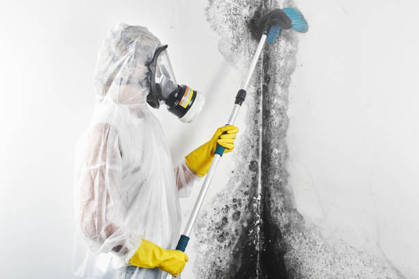 Best Biohazard Mold Removal  in County Center, VA