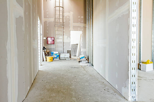 County Center, VA Mold Removal Company